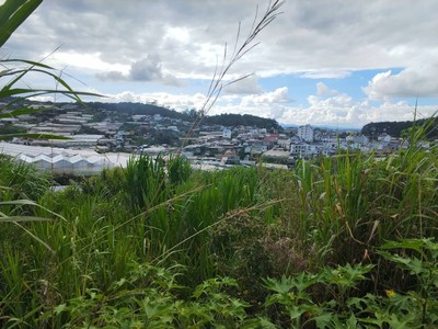 Đất đẹp tô hiệu đà lạt view thoáng đường ô tô tận nơi 0