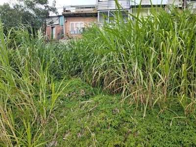 Đất đẹp tô hiệu đà lạt view thoáng đường ô tô tận nơi 1