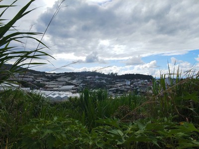 Đất đẹp tô hiệu đà lạt view thoáng đường ô tô tận nơi 2