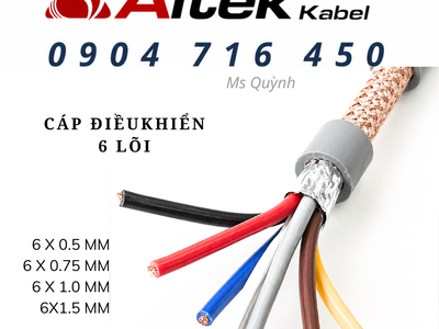 Cáp điều khiển 6 lõi Altek Kabel 2