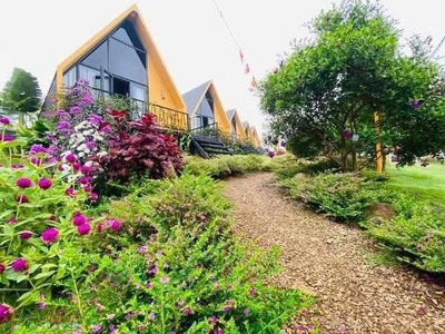 Đất nghỉ dưỡng Bảo Lộc view hồ, đồi chè, rừng thông cơ hội đầu tư sinh lời đón đầu xu hướng cuộc sốn 1
