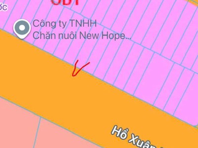 Bán đất mặt đường hồ xuân hương có nhà cũ view hồ đẹp 2