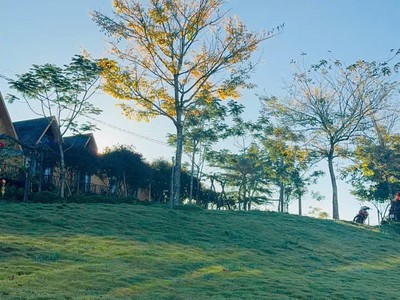 Làng Omm Bảo Lộc họn một mảnh đất, gìn giữ một không gian riêng 3