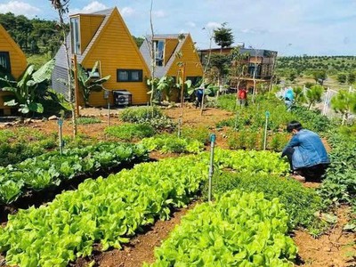 Sở hữu đất nghỉ dưỡng phường 2, Bảo Lộc đón đầu tiềm năng tăng giá 1