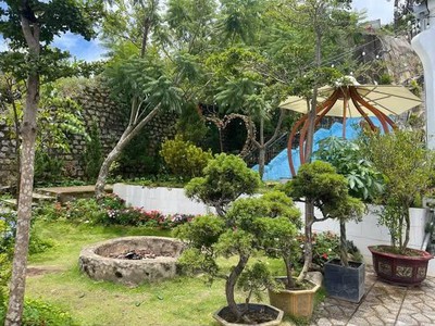 Sở hữu đất nghỉ dưỡng phường 2, Bảo Lộc đón đầu tiềm năng tăng giá 2