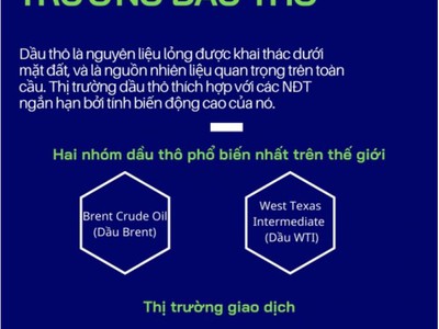 Tổng quan về thị trường dầu thô 0