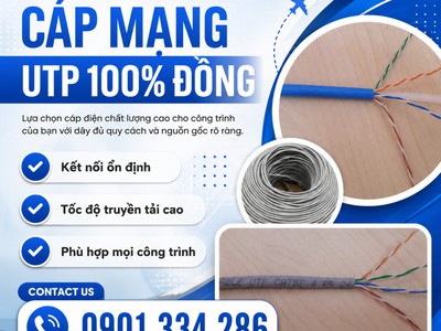 Cáp Mạng Cat5e Cat6 UTP ALTEK KABEL Cáp Mạng Đồng 100 0