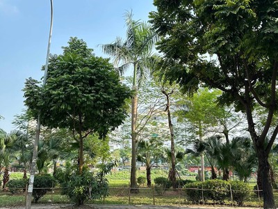 Đất thổ cư kim giang, dt58m2, mt4.4m, 23.9 tỷ thanh trì 3