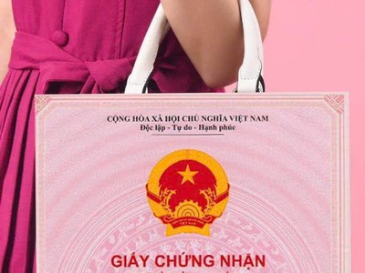 Bán đất biệt thự khu đô thị Mê Linh, giá chỉ nhỉnh 30tr/m 5