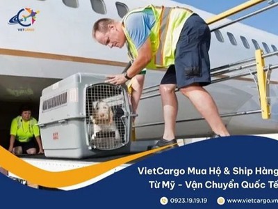 Dịch vụ vận chuyển Trung chuyển trọn gói thú cưng đến Úc uy tín từ VietCargo 0