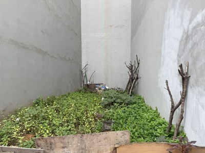 Cần bán 41,1m2 đất thổ cư cách 20m ra mặt phố Đức Giang. Gần chợ và khu đô thị Bình Minh 4
