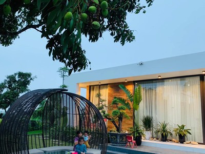 Ghế mây nhựa ngoài trời 5
