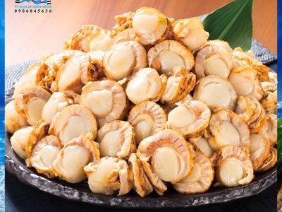 Cồi sò điệp hấp đông lạnh ngon ngọt 0