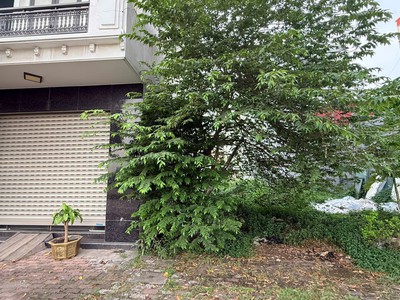 Bán đất mặt đường Bùi Viện, Lê Chân TĐC 4,3ha thông số đẹp - 67,5m2 - mt 4,5m 1