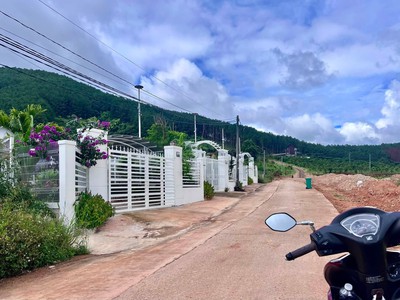 Cần Bán Đất An Sơn Villas 239m Có 150m Thổ Cư, Nở Hậu Đẹp 2