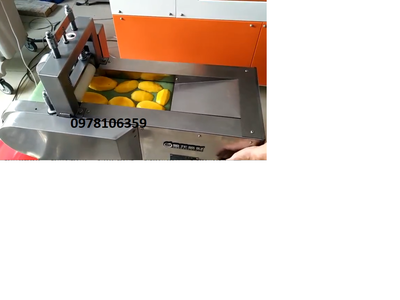 Máy thái trái cây sấy dẻo hạt lựu, máy thái xoài sấy dẻo, máy thái mứt đu đủ sấy 3