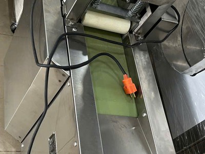 Máy thái trái cây sấy dẻo hạt lựu, máy thái xoài sấy dẻo, máy thái mứt đu đủ sấy 1