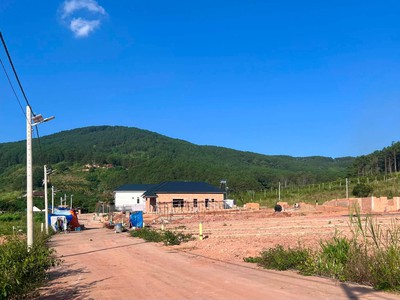 Cần Bán Đất 309m Có 209m Thổ Cư, 2 Mặt Tiền Giữa Thung Lũng Thông Xanh 1