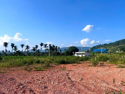Cần Bán Đất 309m Có 209m Thổ Cư, 2 Mặt Tiền Giữa Thung Lũng Thông Xanh 3