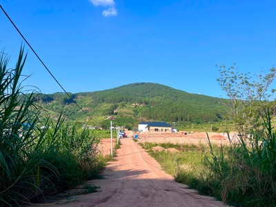 Cần Bán Đất 309m Có 209m Thổ Cư, 2 Mặt Tiền Giữa Thung Lũng Thông Xanh 2