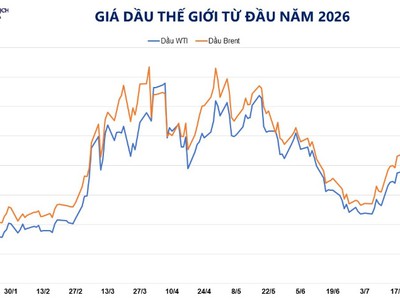 Dầu thô lấy lại những gì đã mất 0