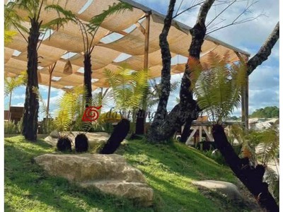Vải bố trang trí và decor 0