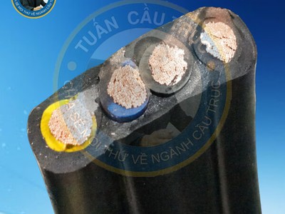 Cáp điện dẹt 4Cx16mm2 1