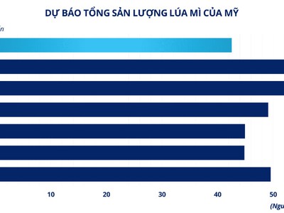 Lúa mì chịu sức ép từ nguồn cung Biển Đen 0