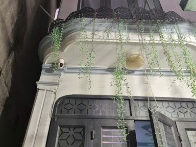 Nhà phạm văn chiêu   sát chợ thạch đà   22m    chỉ 3.35 tỷ 0