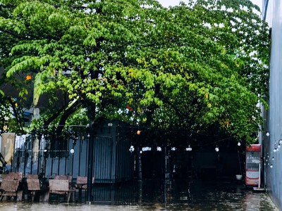 Đất đấu giá lãm làng, nam sơn - 80m2, mặt tiền 5m, vỉa hè 3m, sát công viên, kinh doanh cực tốt 3