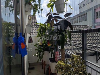 Cho thuê chdv tân bình, diện tích 55m2, 2pn, 1wc, giá 12,5tr/tháng 3