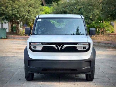 VF3 Econew 100 Vin2026 1