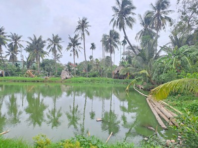 Cho thuê Đất   Hồ Câu Cá Giải trí, đường 11 P. TRƯỜNG THỌ   hơn 2.000M    25TR/THÁNG 2