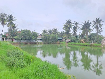 Cho thuê Đất   Hồ Câu Cá Giải trí, đường 11 P. TRƯỜNG THỌ   hơn 2.000M    25TR/THÁNG 3