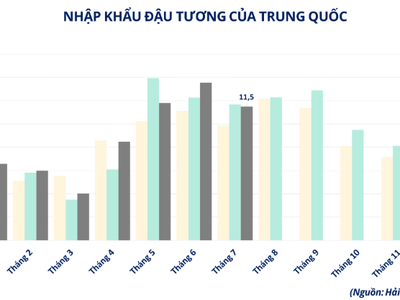 Nhập khẩu đậu tương của Trung Quốc 0