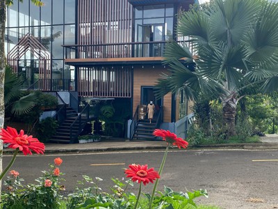 đất nghỉ dưỡng bảo lộc view hồ, đồi chè, rừng thông
