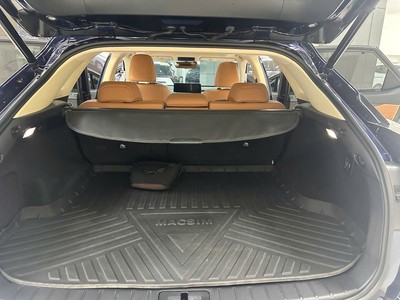 LEXUS RX300- Sản Xuất 2021 Xe Rất mới đẹp, Sơn Zin 99,999 8