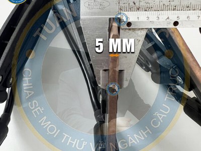 Chổi Điện 3P-100A Trung Quốc 2