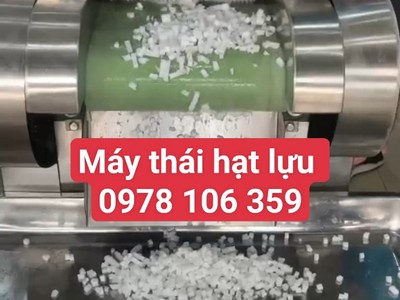 Máy thái cùi dừa hạt lựu, máy thái cơm dừa làm topping chè, máy thái trái cây hạt lựu 1