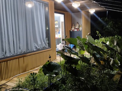 Bán nhà vườn, đất ở đô thị 363m2, full thổ cư - hẻm 57 đường lương văn chấn, khánh hậu, long an cũ 2