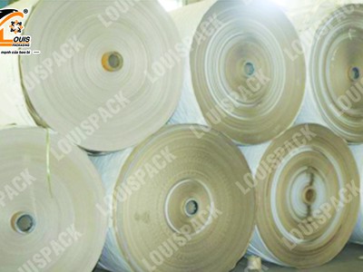 Cuộn kraft - kp - pp dệt 0
