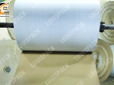 Cuộn kraft - kp - pp dệt 1