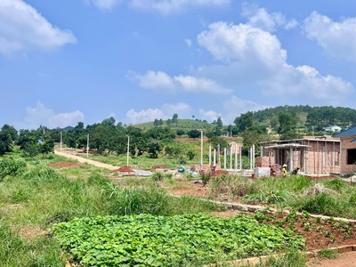 Cần Bán Đất 393m , 210m Đất Ở, 2 Mặt Tiền, Thế Đất Vuông Vức 2
