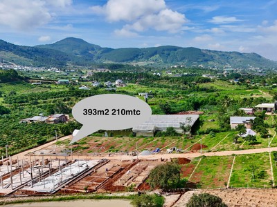 Cần Bán Đất 393m , 210m Đất Ở, 2 Mặt Tiền, Thế Đất Vuông Vức 0