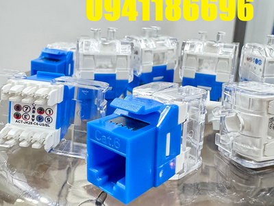 Sẵn kho Patch panel 16 cổng Cat6 UTP mã ACT-16S1U, ACT-JK28-C6-US chính hãng ANCOMTECK 10