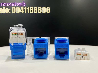 Sẵn kho Patch panel 16 cổng Cat6 UTP mã ACT-16S1U, ACT-JK28-C6-US chính hãng ANCOMTECK 11