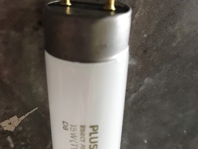 Bóng đèn thu hút côn trùng 15W Pluslamp 0