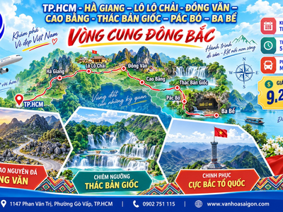 ✨ Vòng Cung Đông Bắc ✨ 0