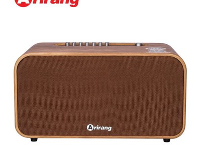 Loa di động LSPro, Card, Arirang, Philips...đẹp như mơ 2