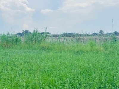 Bán gấp 9000m2 đất nn xuân thới thượng 2, bà điểm, hóc môn. 22.5 tỷ. 4